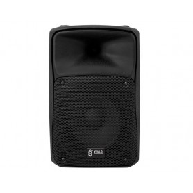Diffusore attivo 2 via bi-amplificato Bass-Reflex woofer 8"