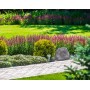 Impianto filodiffusione per giardino con amplificatore integrato e 2 rocce acustiche
