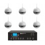 Sistema per diffusione sonora con 6 diffusori a sospensione e Amplificatore MONOZONA con sorgenti