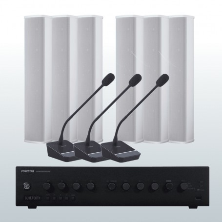 Impianto audio voce per conferenza